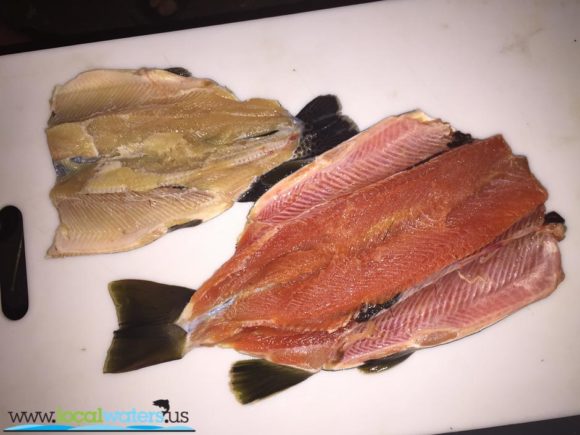 comparison of pink almost red meat of a hold-over brown trout to a recent stocker rainbow trout