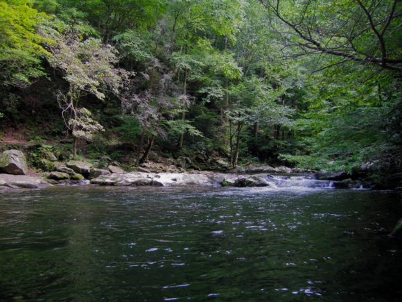 Slickrock Creek full of trout emptying into Calderwood Lake. Slickrock is the state line between North Carolina and Tennessee. Joyce Kilmer Slickrock Wilderness