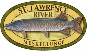 St. Lawrence River Muskie Fishing Sticker Saint Lawrence Decal Musky Muskellunge