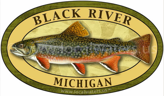 Black River Sticker Brook Trout Fishing Michigan Decal Logo