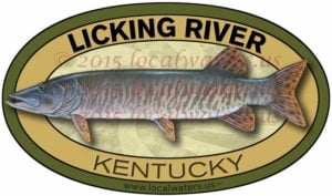 Licking River Sticker Muskie Muskellunge Decal Fishing Musky Kentucky
