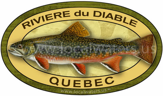 Riviere du Diable Brook trout sticker Quebec fishing decal omble de fontaine