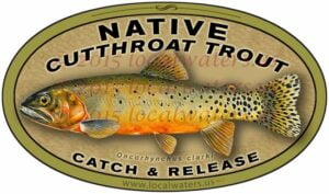 Cutthroat Trout Sticker Cut Throat Trout Decal Catch and Release Decal Oncorhynchus clarkii