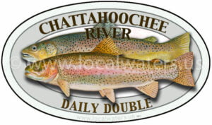 Chattahoochee River Trout Fishing Sticker Daily Double Brown + Rainbow Trout Decal Georgia Logo