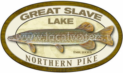 Great Slave Lake Northern Pike Sticker Fishing Decal Logo