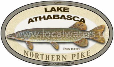 Lake Athabasca Northern Pike Sticker Fishing Decal logo