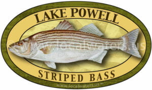 Lake Powell Striped Bass Fishing Sticker Bass Decal Logo
