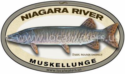 Niagara River Muskellunge Sticker Fishing Decal logo