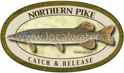 Northern Pike Catch and Release sticker fishing decal logo