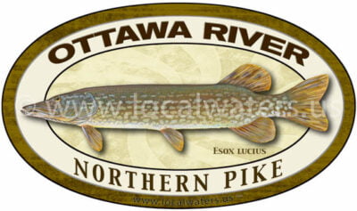 Ottawa River Northern Pike Sticker Fishing Decal Ontario Quebec Canada logo