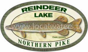 Reindeer Lake Northern Pike Fishing Sticker Decal Logo