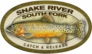 Snake River South Fork Cutthroat Trout Fishing Sticker Decal Catch and Release