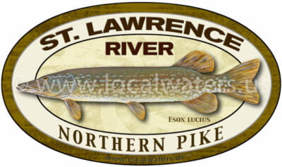 St. Lawrence River Northern Pike Sticker Fishing Decal logo