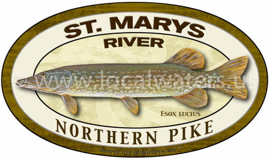 Mary/'s River decals Atlantic Salmon Nova Scotia Pack of 2 Fishing Stickers St