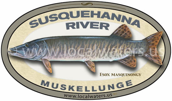 Susquehanna River Muskellunge Sticker Fishing Decal Logo