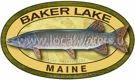 https://www.localwaters.us/wp-content/uploads/2021/06/Baker-Lake-Musky-550-pix.jpg